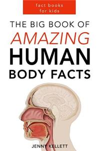 Human Body