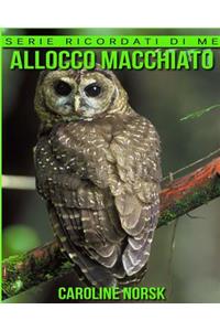 Allocco Macchiato