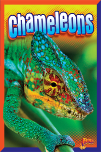 Chameleons
