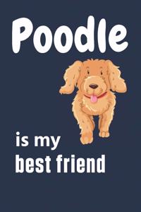 Poodle is my best friend