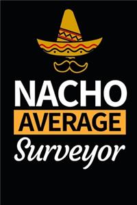 Nacho Average Surveyor