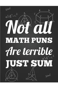 Not All Math Puns Are Terrible, Just Sum