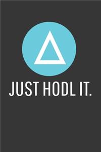 Just Hodl It Salt Notebook