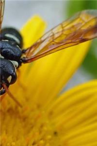 Wasp Notebook