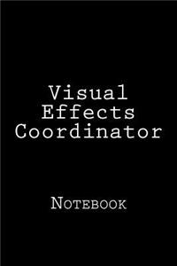 Visual Effects Coordinator