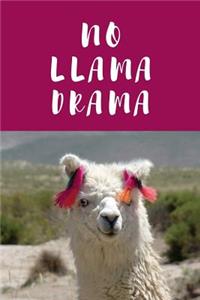 No Llama Drama