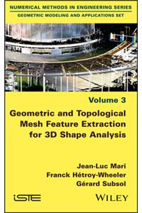 Geometric and Topological Mesh Feature Extraction for 3D Shape Analysis