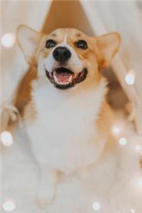 Corgi Dot Grid Journal
