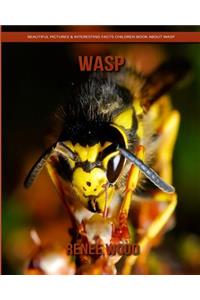 Wasp