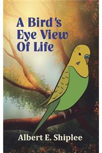 Bird's Eye View of Life