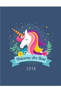 Unicorns Are Real 2018