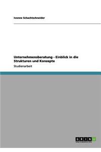 Unternehmensberatung - Einblick in die Strukturen und Konzepte