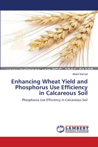Enhancing Wheat Yield and Phosphorus Use Efficiency in Calcareous Soil