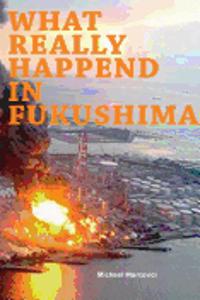 What really happened in Fukushima