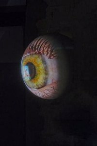 Tony Oursler: Specular