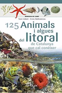 125 animals i algues del litoral de Catalunya: que cal coneixer