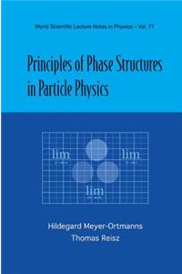 Principles of Phase Structures in Particle Physics