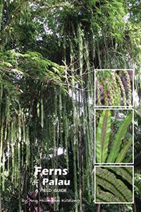 Ferns of Palau
