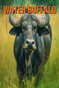 Water Buffalo