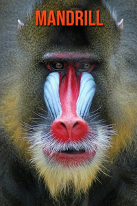 Mandrill