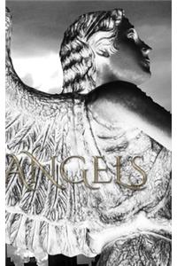 Angel writing Journal