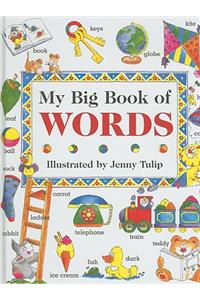 My Big Book of Words