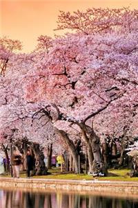 Under the Cherry Blossoms