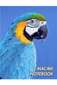 Macaw Notebook