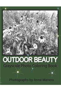 Outdoor Beauty Grayscale Photo Coloring Book