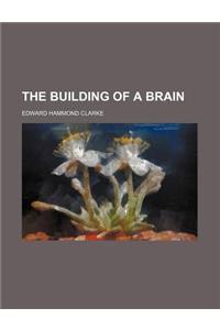 The Building of a Brain