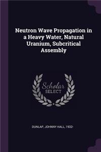 Neutron Wave Propagation in a Heavy Water, Natural Uranium, Subcritical Assembly