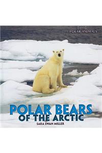 Polar Bears of the Arctic