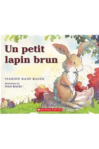 Un Petit Lapin Brun