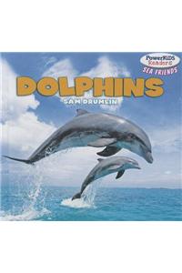 Dolphins