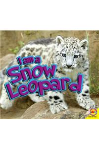 I Am a Snow Leopard