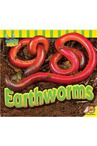 Earthworms