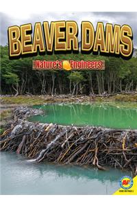 Beaver Dams