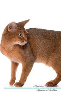 Abyssinian Cat Affirmations Workbook Abyssinian Cat Presents