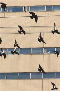 Flock of Pigeons Journal