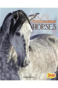 Thoroughbred Horses