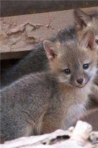 So Sweet Grey Fox Kit Baby Animal Journal