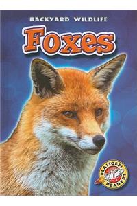 Foxes