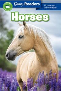 Ripley Readers: Horses