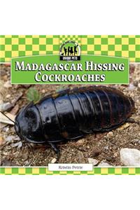 Madagascar Hissing Cockroaches