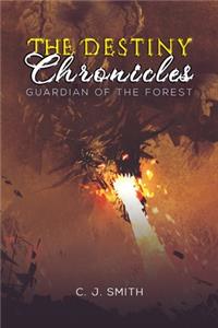Destiny Chronicles
