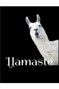 Llamaste