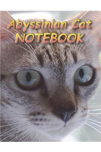 Abyssinian Cat NOTEBOOK