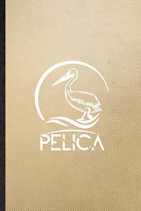 Pelica