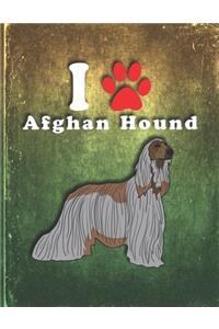 Afghan Hound