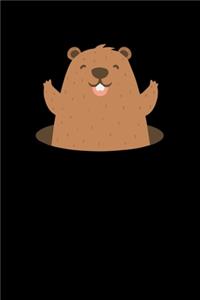 Groundhog Day